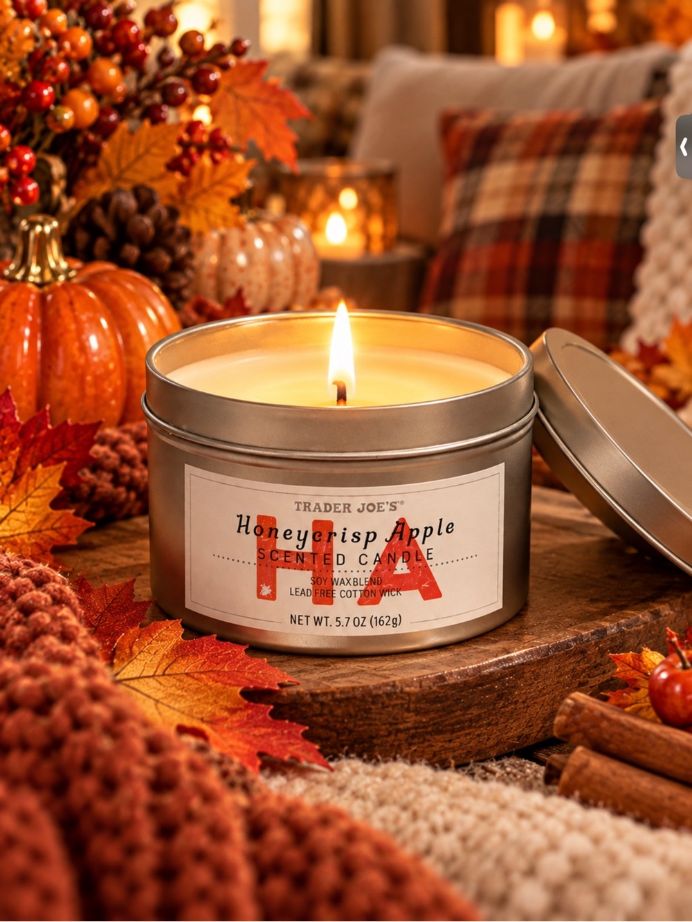 Trader Joe's Honeycrisp Apple Scented Candle - Silver Tin